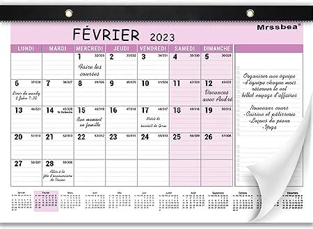 Calendrier Mural 2023 2024 Calendrier Familial 2023 Calendrier De