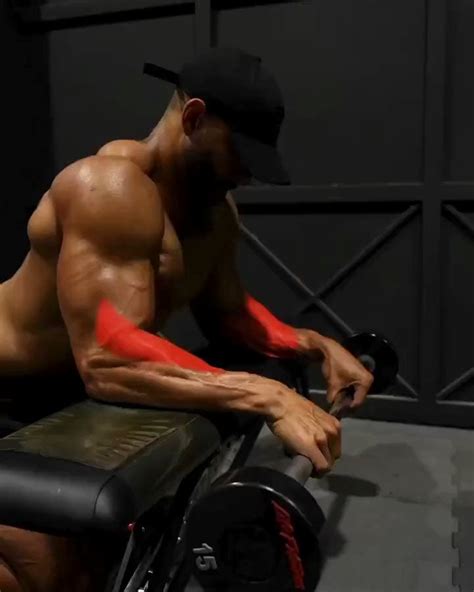 Gym Body Fitness on Twitter: "4 Exercises To Increase Forearm Size And ...