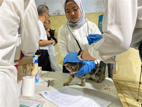 Peringati World Rabies Day Beragam Jenis Hewan Di Vaksin Oleh Pemkot