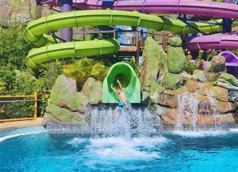 Things To Do In Orlando January 2025 With Kids Vitia Rosamond