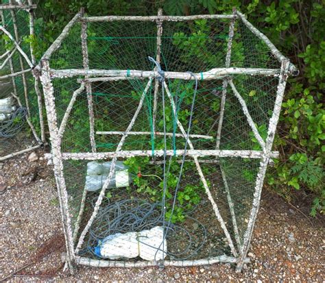 Rectangular Squid Traps In Thailand Bushguide 101