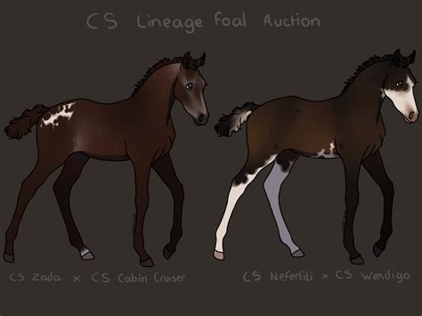 Cs Zlesdin Foal Auction By Heartsng On Deviantart