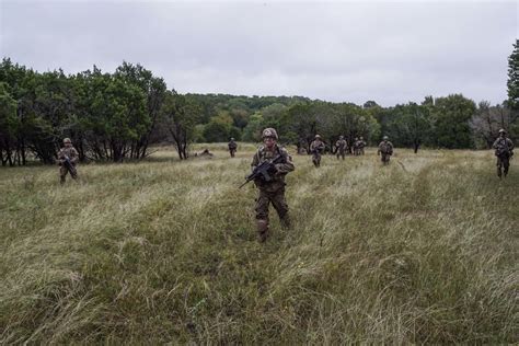 Dvids Images St Battalion Rd Infantry Regiment Company Lfx