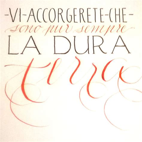 Calligrafia E Corsivo Bella Scrittura Calligrafia Elegante