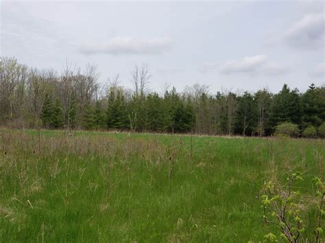 Grassy Brook Grassy Brook Rd Welland On Canada