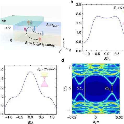 Pdf Proximity Induced Surface Superconductivity In Dirac Semimetal Cd