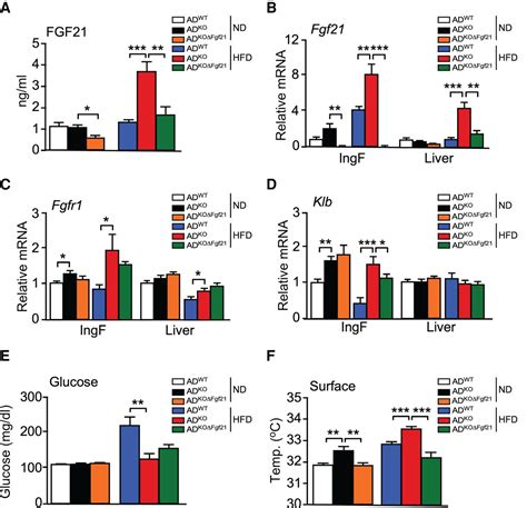 A Feed Forward Regulatory Loop In Adipose Tissue Promotes Signaling By The Hepatokine Fgf21