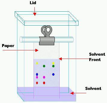 Candy Chromatography Science Project