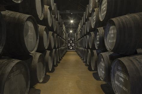 Das Melhores Caves Do Vinho Do Porto Para Visitar Em Gaia Vortexmag