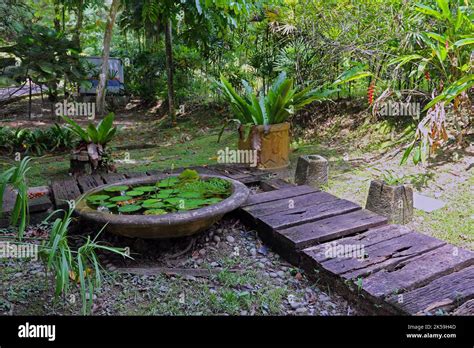 Jungle Park Walking Trail Stock Photo Alamy