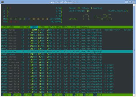 Htop - Top’s Cooler Cousin | FOSSwire