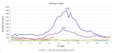 All You Need To Know About Dengue Fever Blog Doctor Anywhere