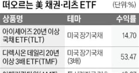 Fed 금리 조기인하 전망에미국 채권·리츠 돈 몰린다