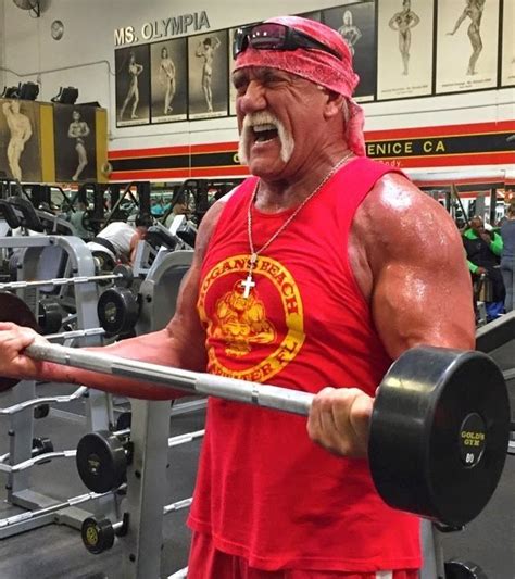 Hulk Hogan Bodybuilding