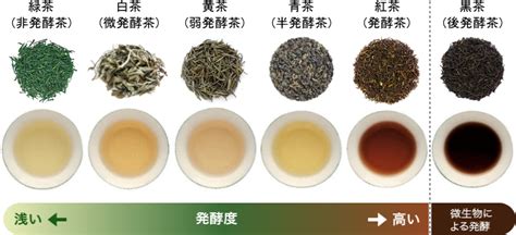 これで通の仲間入り！お茶のおいしさの三大要素「色、香り、味」のメカニズムを知ろう お茶を楽しむ