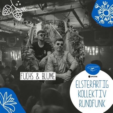 Stream Elsterartig Kollektiv Rundfunk Mit Fuchs Blume By