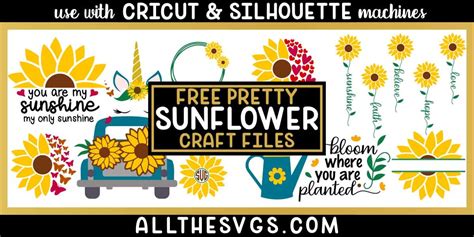 FREE Sunflower SVG Files [No Sign Up to Download!]