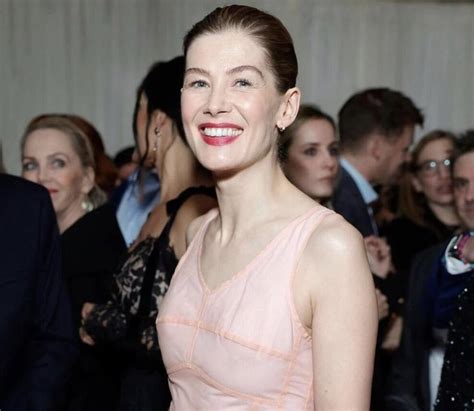 Rosamund Pike Wore Veil To Golden Globes After Smashing Up Her Face