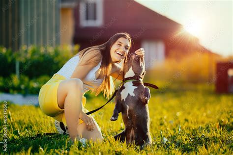 An American Bully Stands On Its Hind Legs Begging For A Treat From Its Laughing Woman Owner