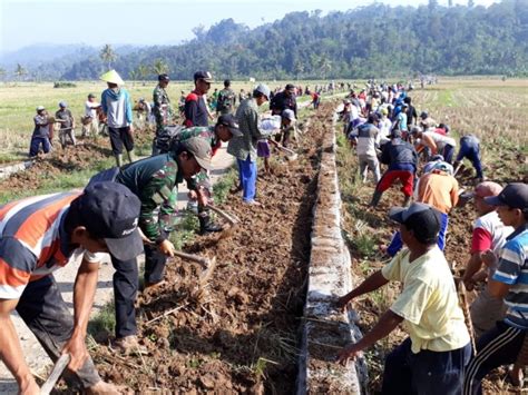 Pengertian Gotong Royong Beserta Manfaat Serta Contohnya Gramedia