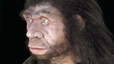 Diabetes Risk Gene From Neanderthals Bbc News