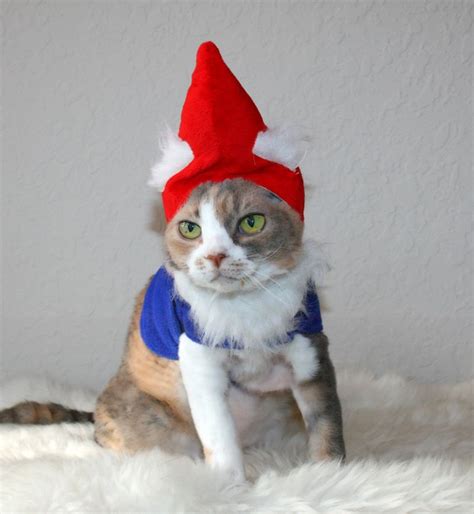 Daisy The Curly Cat I Got Stuck With Harleys Costume Garden Gnomes