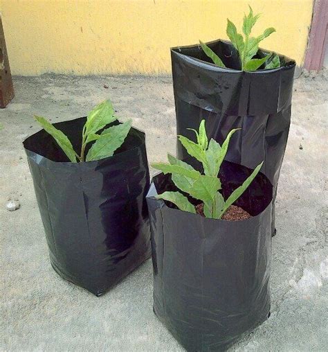 Nursery Bag For Plants Nursery Bags Manufacturer Siddhi Agritech