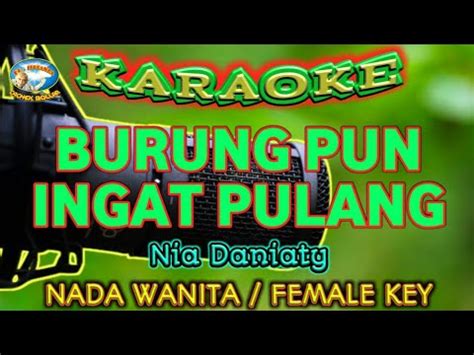 BURUNG PUN INGAT PULANG KARAOKE NADA WANITA Nia Daniaty YouTube