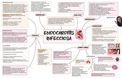 Endocarditis Infecciosa Eve Meds Udocz