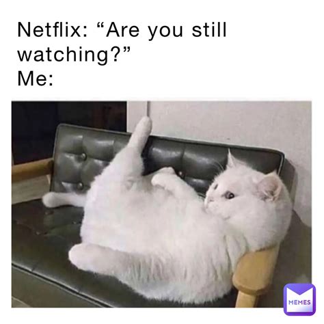 Netflix: “Are you still watching?” Me: | @alex_life1206 | Memes