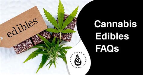 Cannabis Edibles Faqs Frequently Asked Questions About Edibles