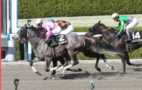 【新谷の土曜競馬コラム・ポラリスs】 日刊ゲンダイ競馬