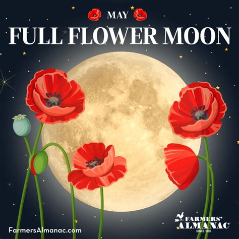 Flower Moon 2024 Farmers Almanac - Paige Laurella