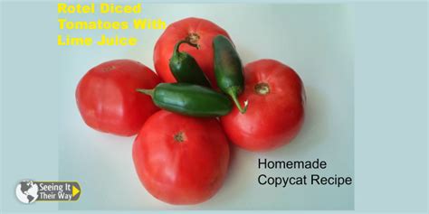 (Video) Homemade Copycat Recipe :: Rotel Diced Tomatoes With Lime - Seeing It Their Way