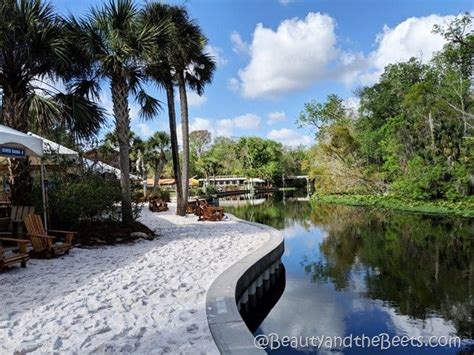 A Day At Wekiva Island Beauty and the Beets