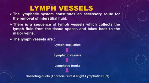 The Lymphatic System Lymph Circulation Lymph Vessels Lymph Organs