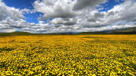 Summer Mountain Vacations in Colorado | Steamboat Resort