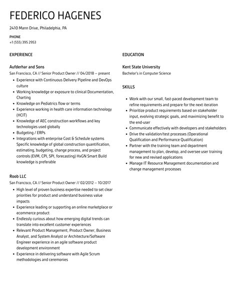 Senior Product Owner Resume Samples Velvet Jobs