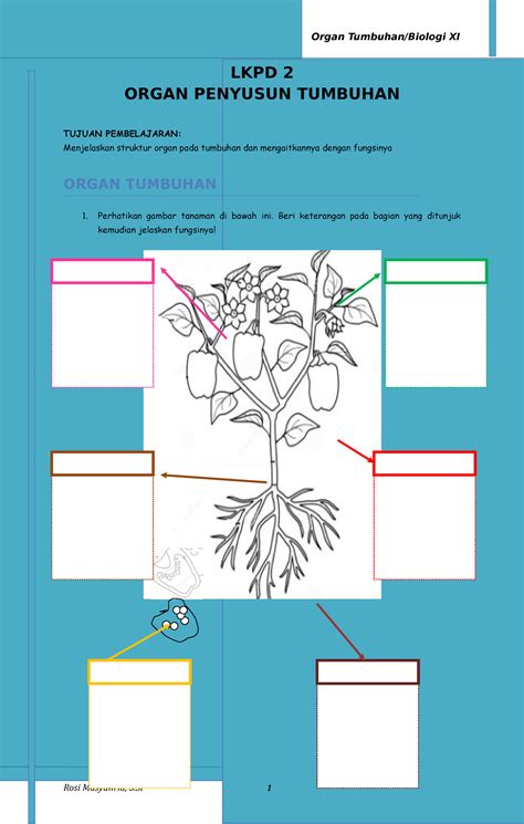 LKPD 3.3B. Bagian Tubuh Tumbuhan OK 2022 - LKPD 2 ORGAN PENYUSUN ...