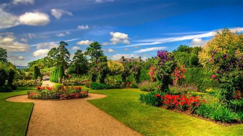 Beautiful Garden Scenery Nature Colorful Flowers Green Grass Field