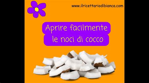 Come Aprire Facilmente La Noce Di Cocco Youtube