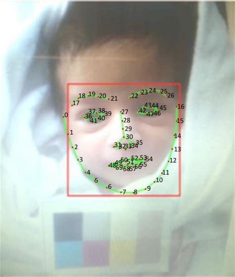 Face Landmarks Detection Download Scientific Diagram