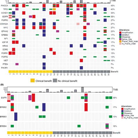 A Somatic Mutation Gene Copy Number And Gene Expression Profiles Download Scientific