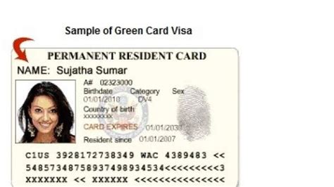 ¿qué Es La Green Card Y Cómo Conseguirla