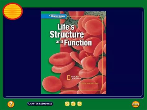 Ppt Chapter Exploring And Classifying Life Powerpoint Presentation Id 1486306