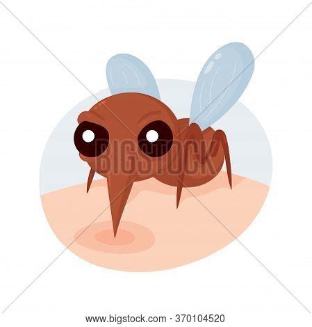 Angry Scary Mosquito Vector & Photo (Free Trial) | Bigstock