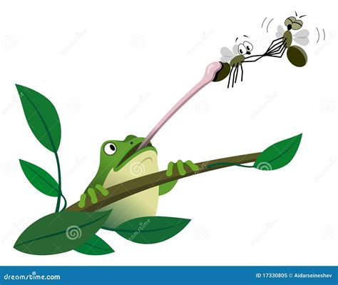 Frog Catching Fly Vector Illustration Cartoondealer