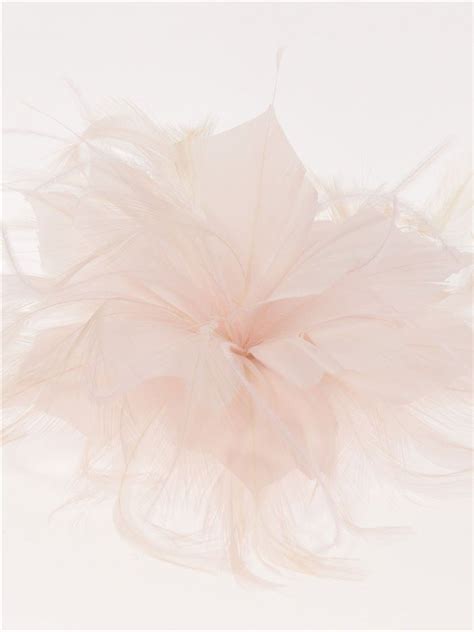 Feather Fascinator Hair Clip Nude AD NUDE