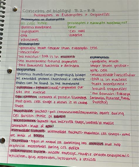 aesthetic notes | note taking | biology notes | colorful in 2022 | High ...