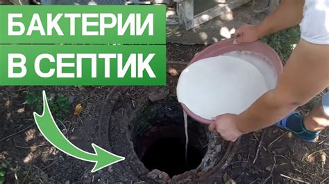 НИКОГДА НЕ ДОБАВЛЯЙ БАКТЕРИИ В СЕПТИК! / Почему нельзя добавлять ...